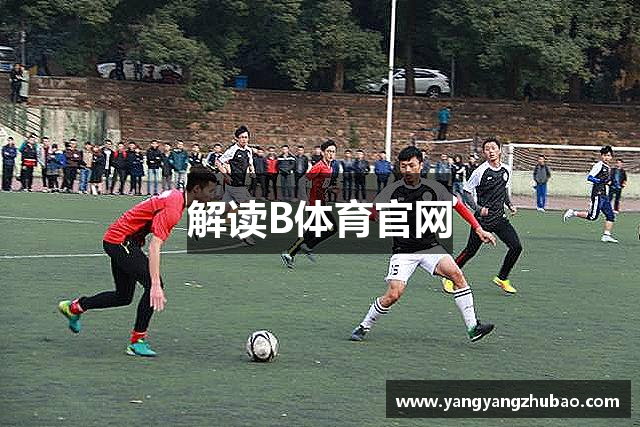 解读B体育官网